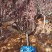 8公分太阳李价格10公分太阳李价格绿曦苗圃