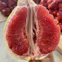 红柚子大量供应，白心红心柚都有，价格实惠，欢迎订购。
