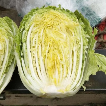 精品矮棵黄芯大白菜，产地直发，货源充足，支持任何包装