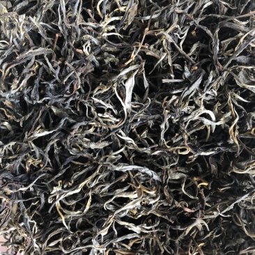 普洱茶生茶云南古树茶散装茶纯手工茶散装批发直销包邮