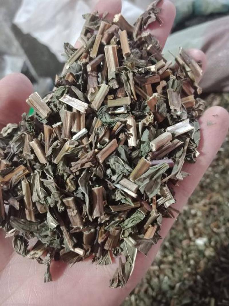 薄荷，新货薄荷切片质量保证，经营各种中药材欢迎咨询合作！