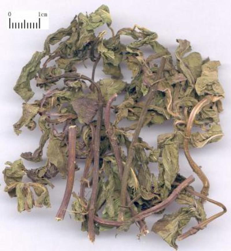薄荷，新货薄荷切片质量保证，经营各种中药材欢迎咨询合作！