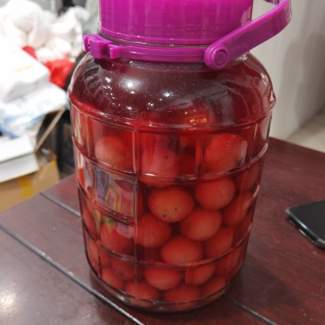 红心猕猴桃酒杨梅酒小麦烧酒纯水果烧的酒
