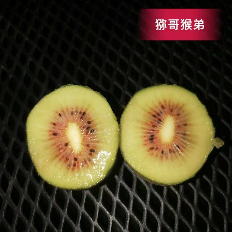 红心猕猴桃酒杨梅酒小麦烧酒纯水果烧的酒