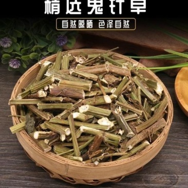 鬼针草，金盏银盘，长寿草，经营各种中药材欢迎咨询合作！