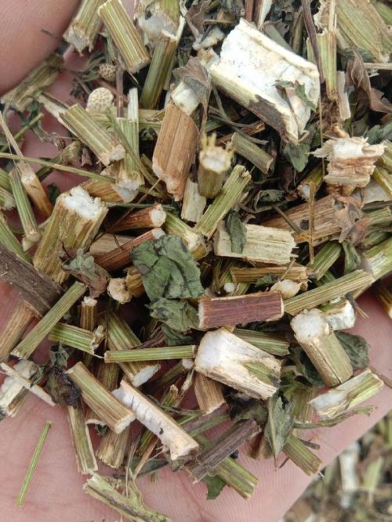 鬼针草，金盏银盘，长寿草，经营各种中药材欢迎咨询合作！