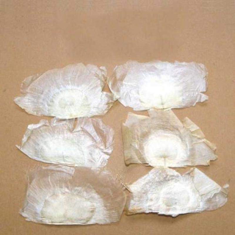 木蝴蝶，千张纸玉蝴蝶质量保证，经营各种中药材，欢迎咨询！