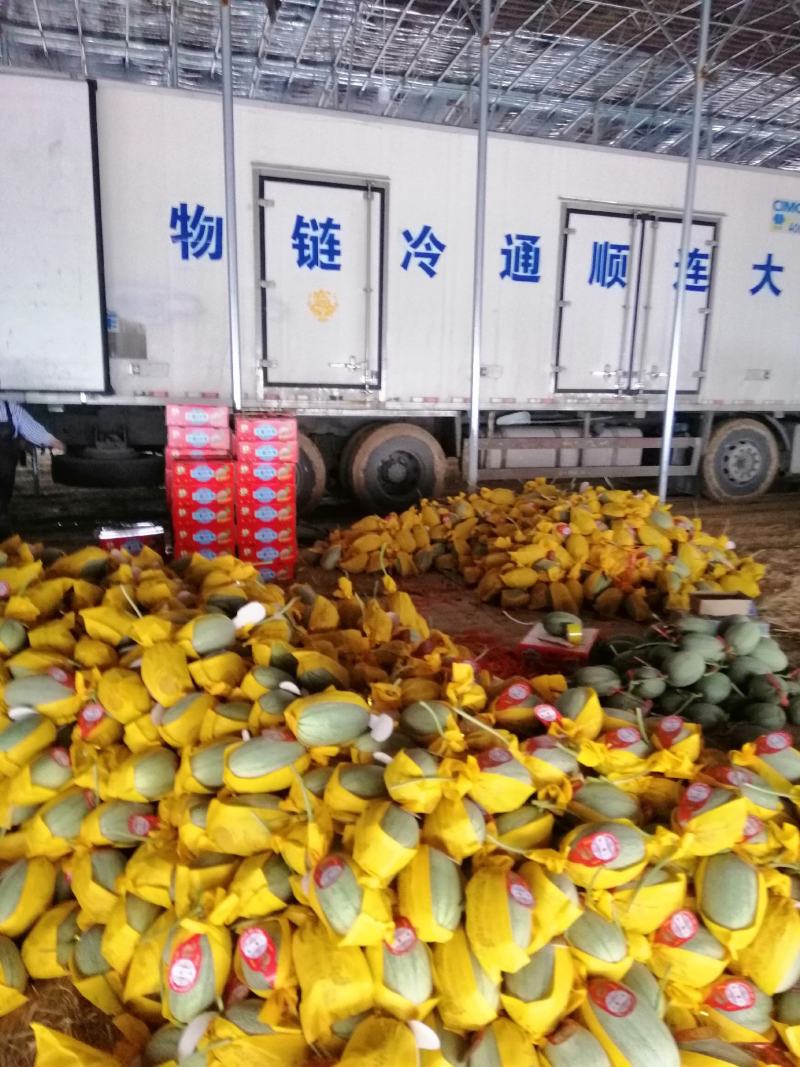 海南晓密25，口味好，含糖量高15以上，