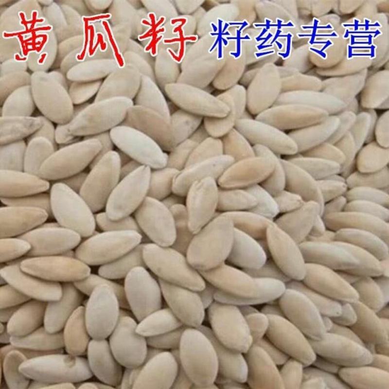 黄瓜籽干货中药材干净无杂质量大从优