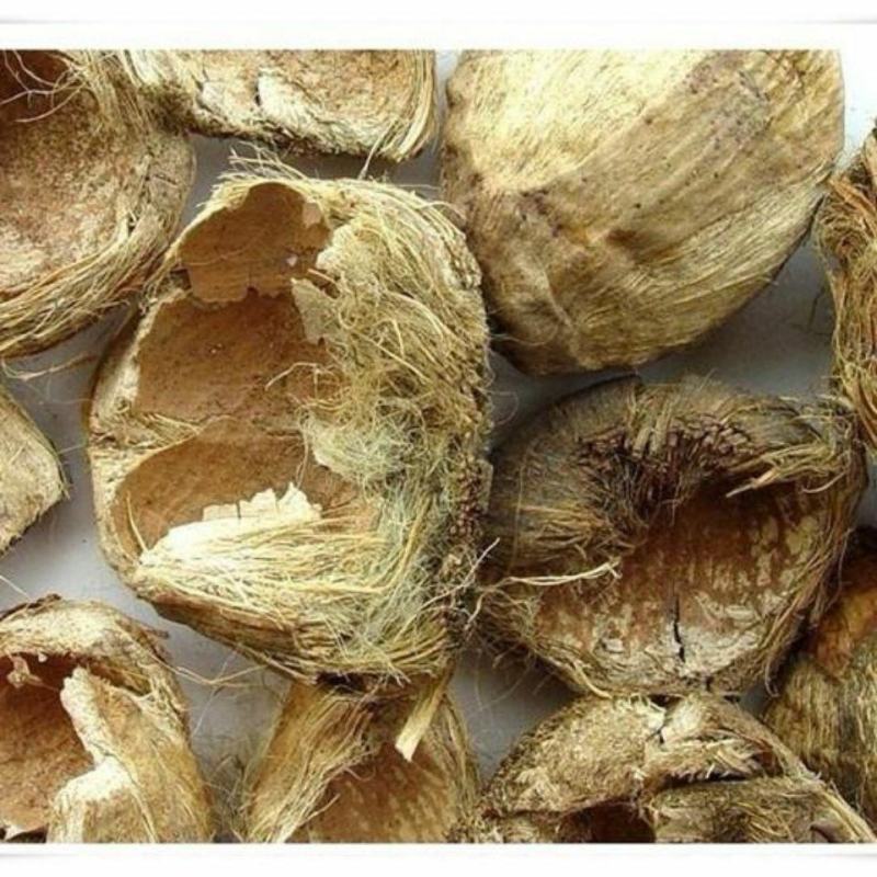 大腹皮干货中药材干净无杂质常年经营各种中药材