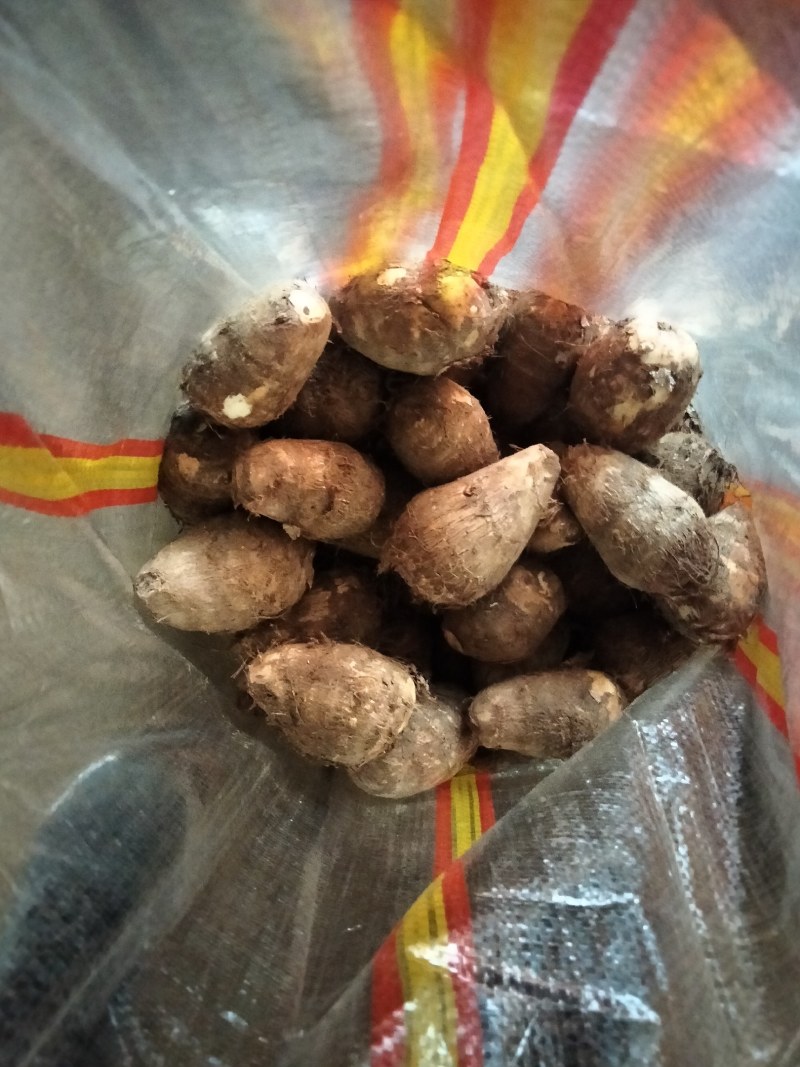 湖南芋头优质8520芋头大量上市，一手货源，保证质量