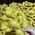 河南优良大黄姜货源充足产地直销辣味十足支持全国发货