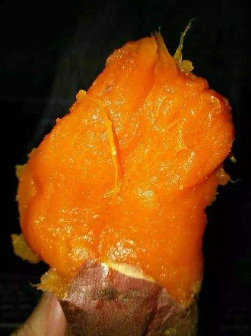 正宗烟薯25，烟台货，口感软糯香甜，农科院种苗
