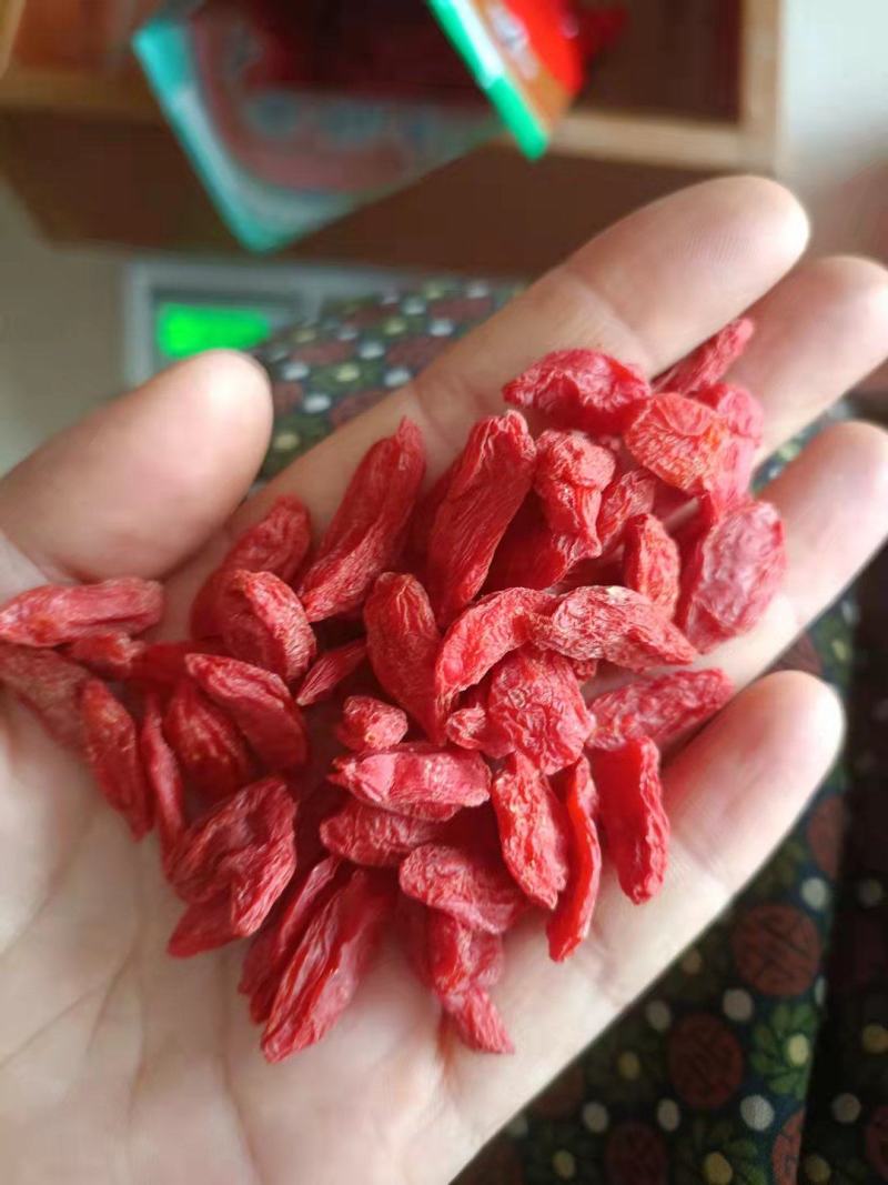 枸杞红枸杞颜色好大颗粒