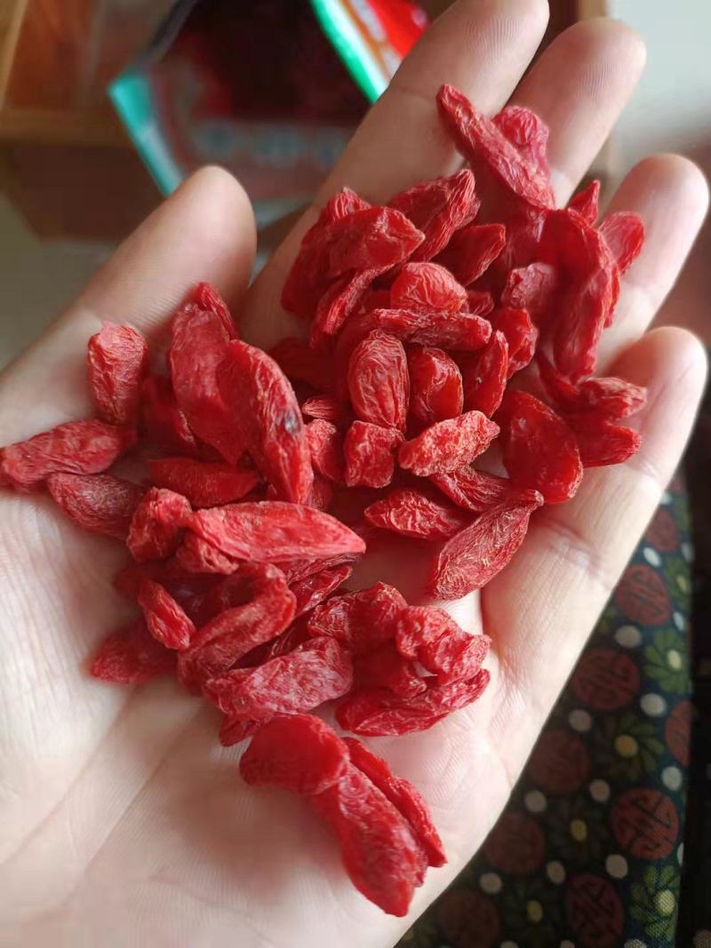 枸杞红枸杞颜色好大颗粒