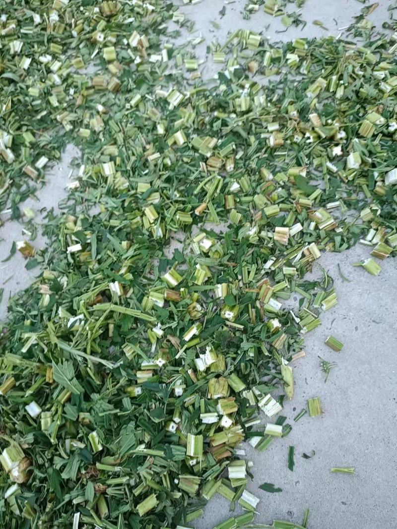 益母草新货产地货量大从优