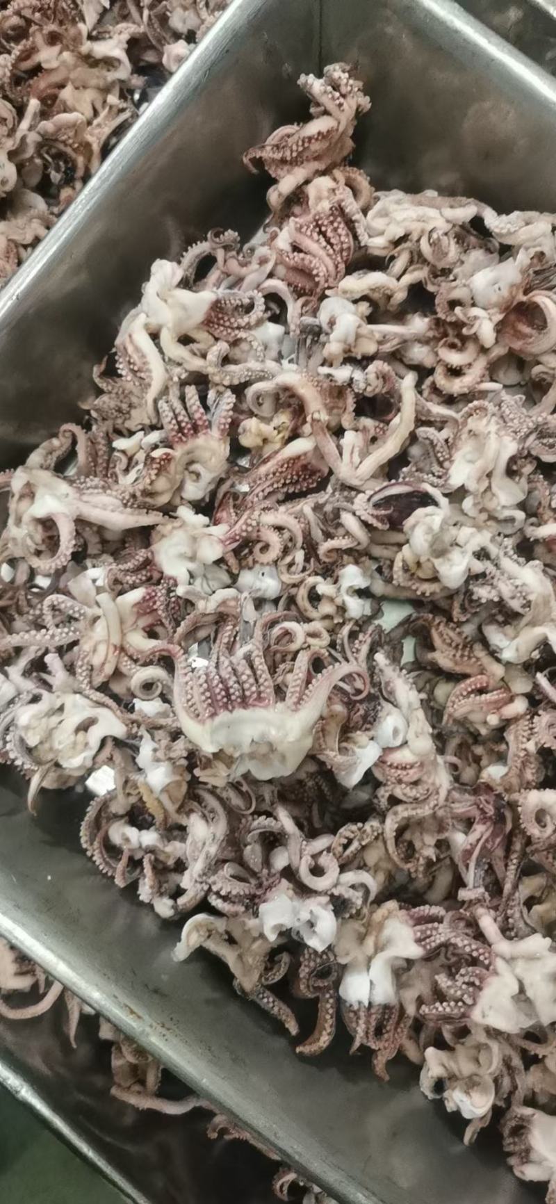 干冻鱿鱼须鱿鱼头脆口鱿鱼头部