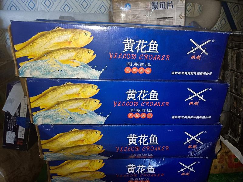 小黄鱼含冰约20%东海小黄鱼产地直销来自浙江台州温岭