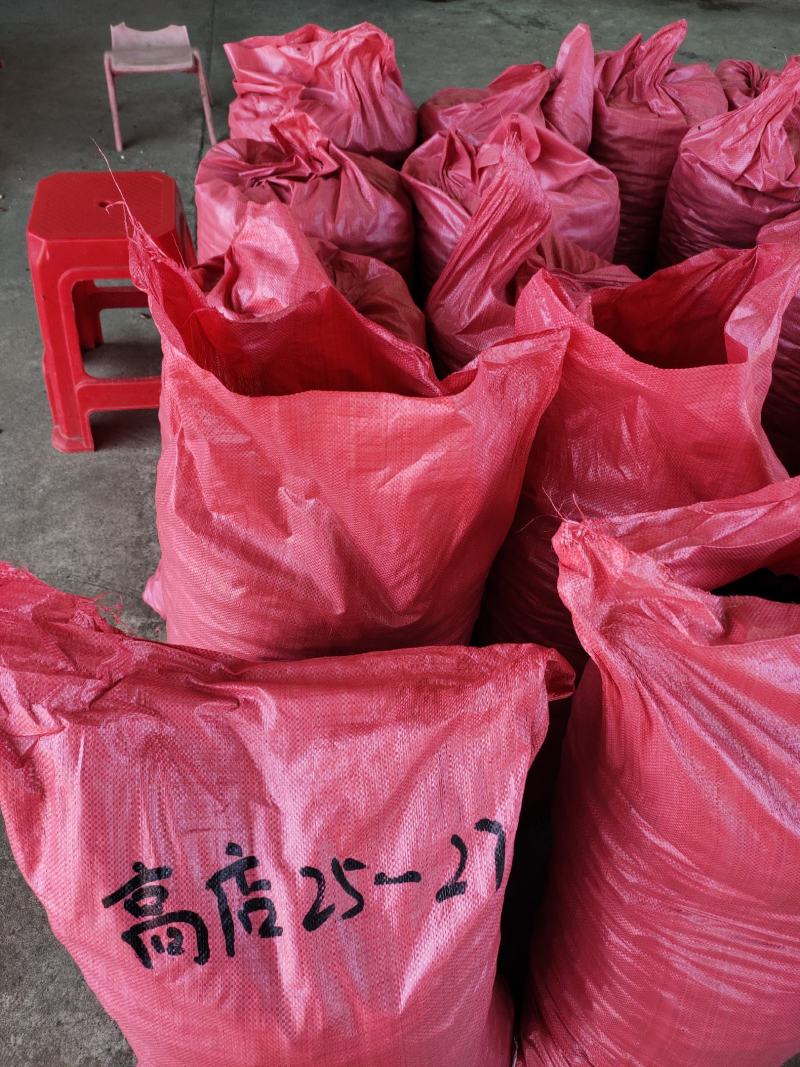 全年供应专业糖炒板栗原料内资好颜色好看口感香糯甜品种齐全