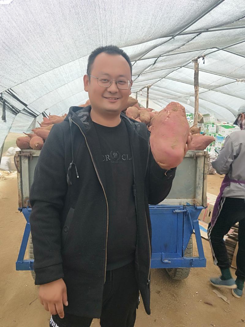 红薯西瓜红蜜薯邹城丘陵地产地直供