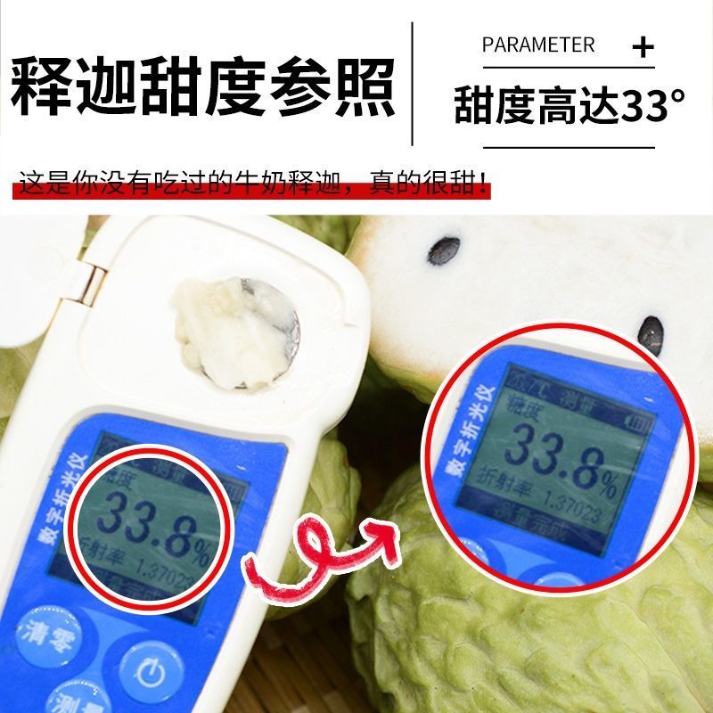 台湾释迦果福建现摘释迦果批发一件代发全国发货顺丰包邮
