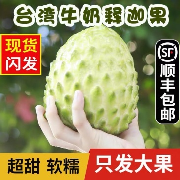 台湾释迦果福建现摘释迦果批发一件代发全国发货顺丰包邮