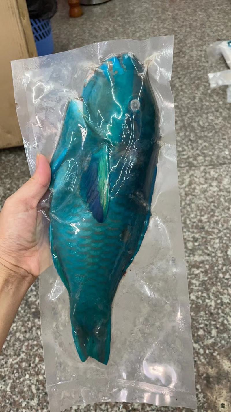 西沙海鱼