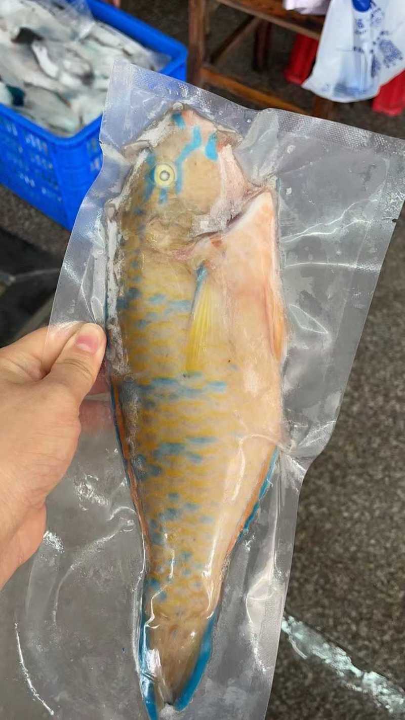 西沙海鱼