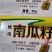 新货椒盐南瓜籽，原味南瓜籽！生南瓜籽，质量好