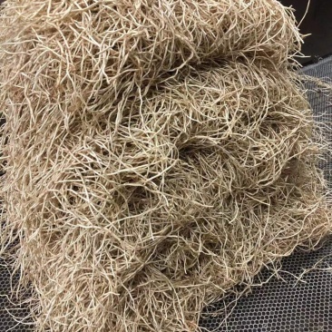 湖北精品鱼腥草节节根两河特产质量保证欢迎下单