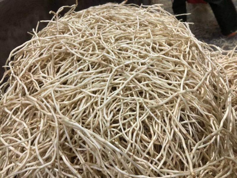 湖北精品鱼腥草节节根两河特产质量保证欢迎下单