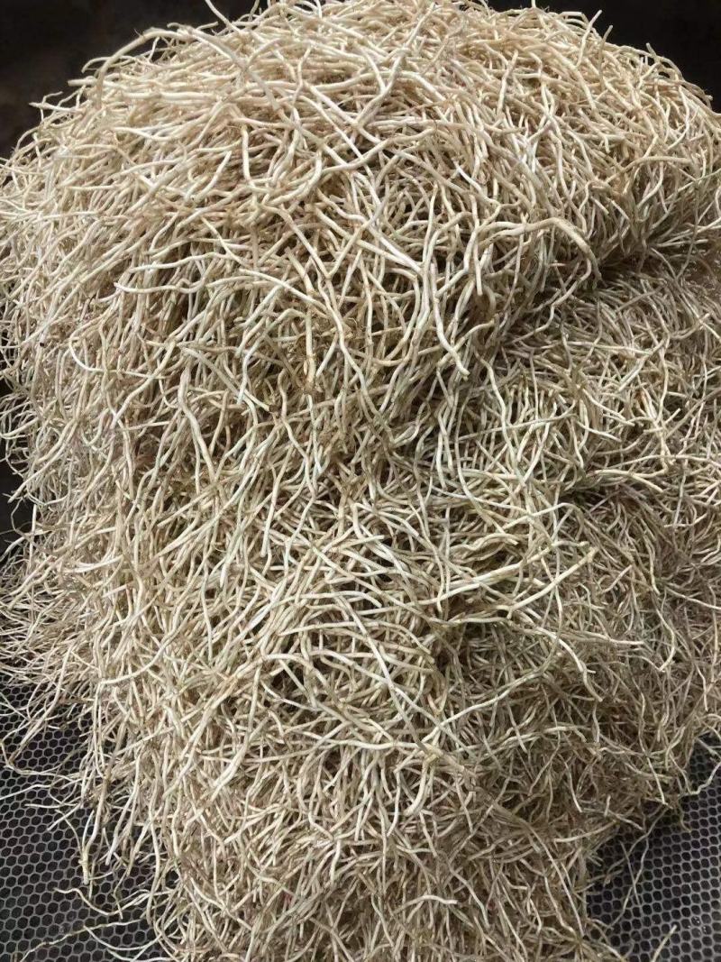 湖北精品鱼腥草节节根两河特产质量保证欢迎下单