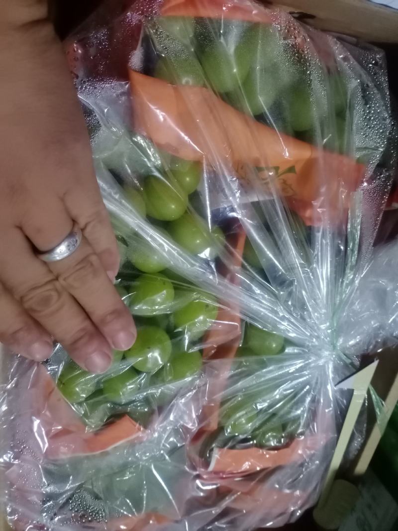 七月中旬开始大量供应各种葡萄，九月份阳光玫瑰大量上市