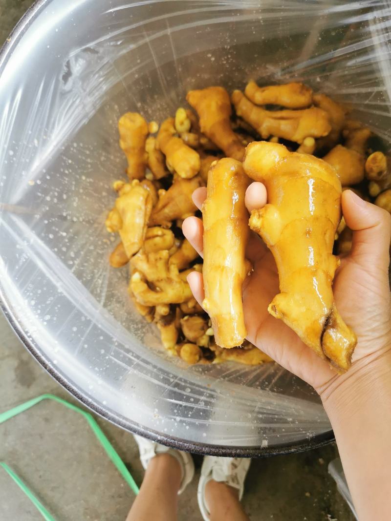 姜头产地货源质量保证商超电商大量供货