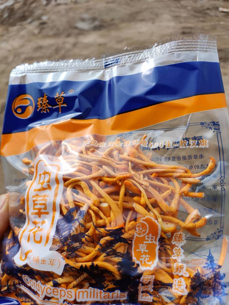 内蒙古产地小包装虫草花100克新鲜条形均匀保质期长
