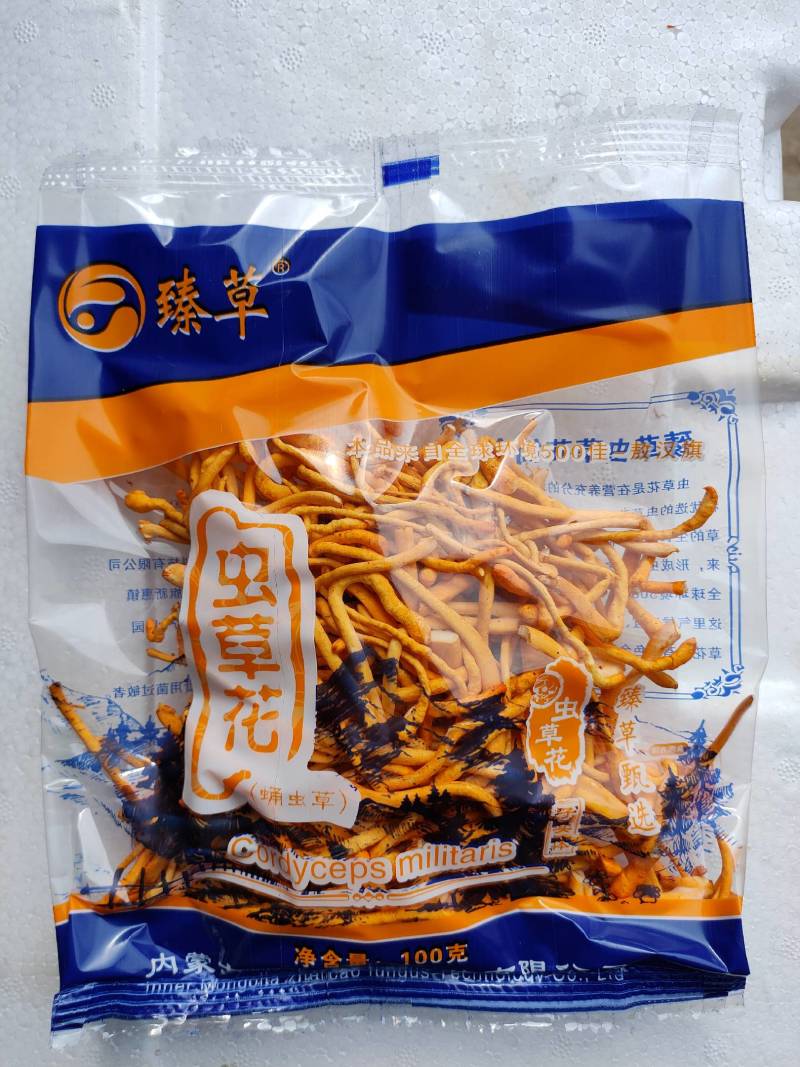 内蒙古产地小包装虫草花100克新鲜条形均匀保质期长