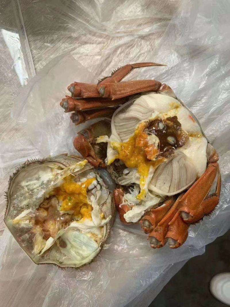 大闸蟹
