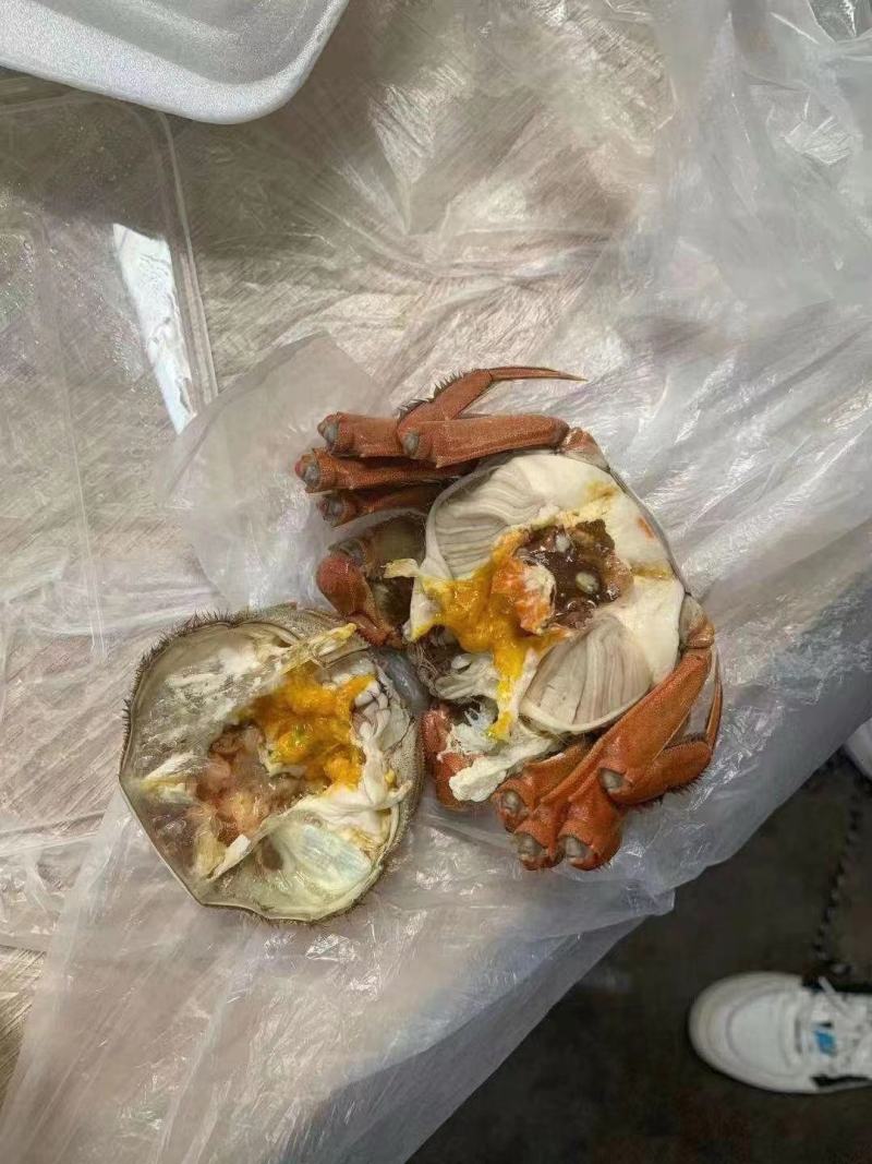 大闸蟹