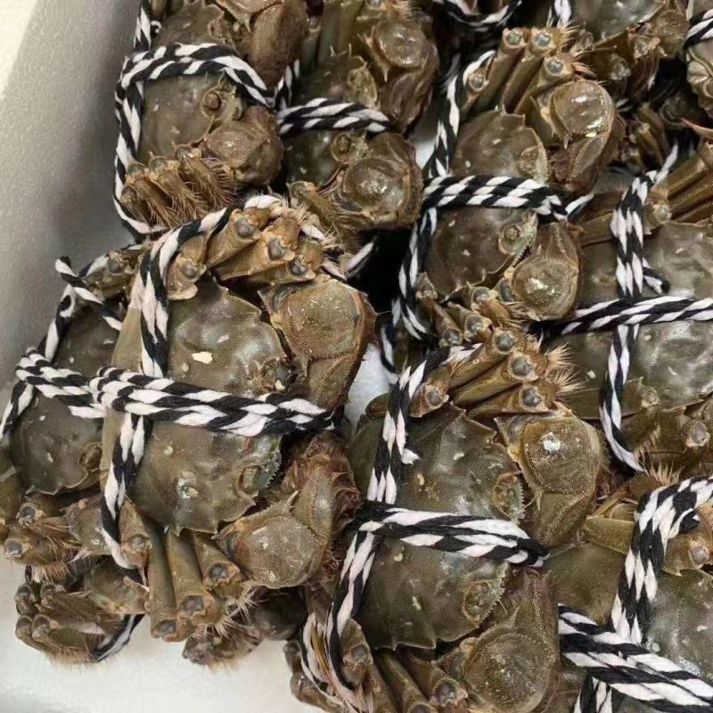 大闸蟹