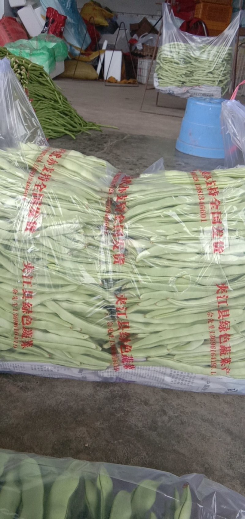 【白芸豆】百亩基地天天有货，自产自发，本人诚信代办