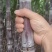 黑皮甘蔗，大量上市，原产地批发，量大从优