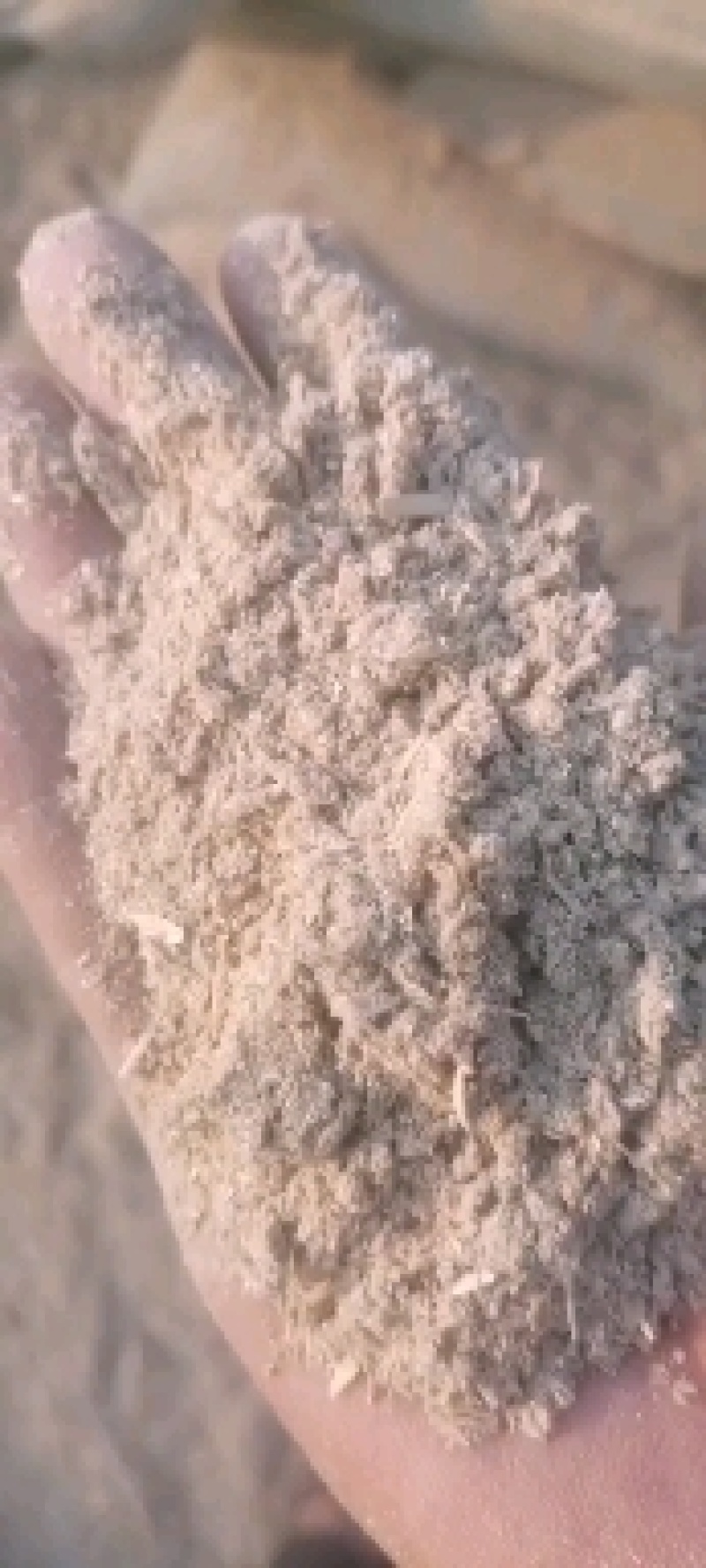 优质小麦下脚料麦毛（麦微麸）价格低，实物拍摄图片真实价格