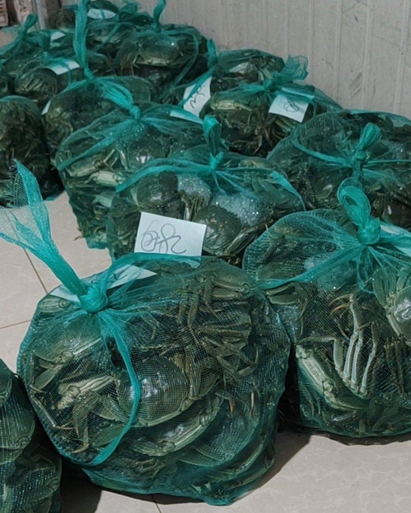 清水大闸蟹质量好成活率高