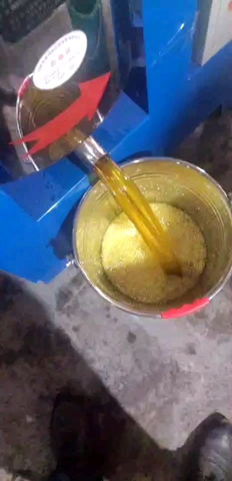 纯菜籽油