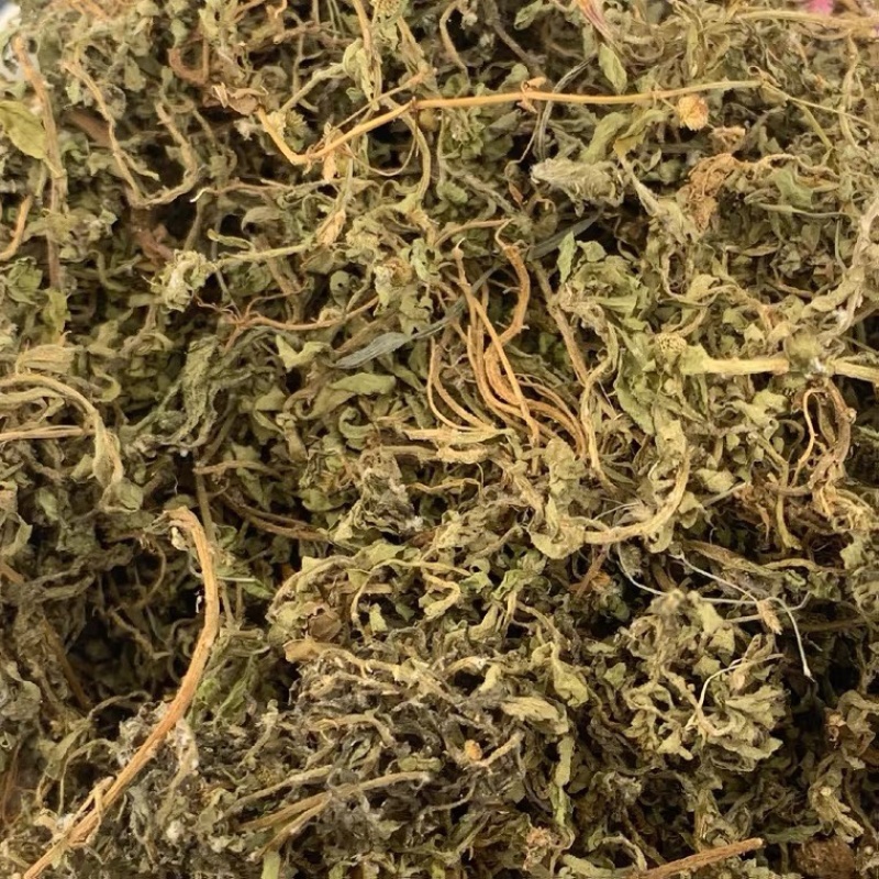 中药材鹅不食草货净无杂货品质量保证批发各种中药材