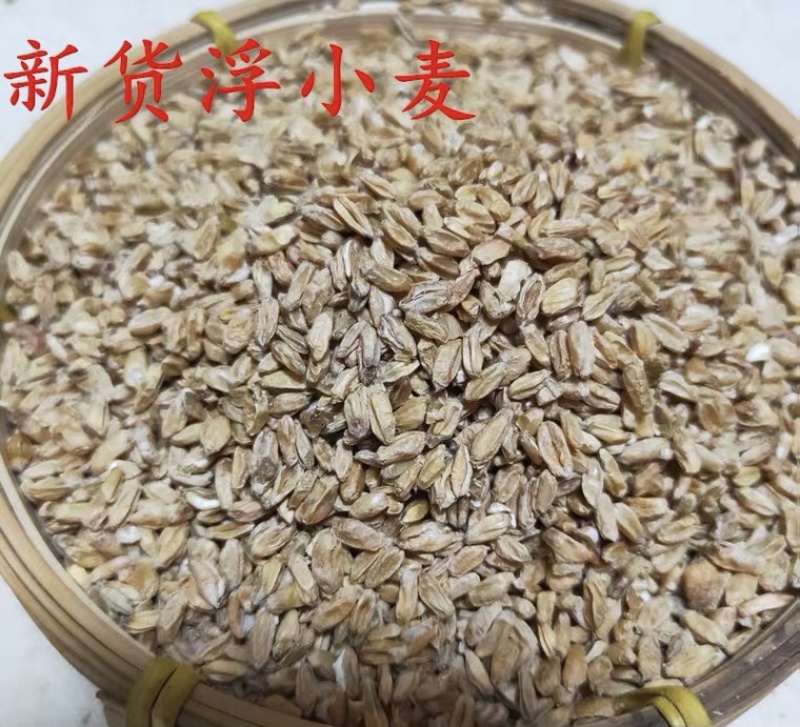中药材浮小麦无硫新货货品质量保证批发各种中药材