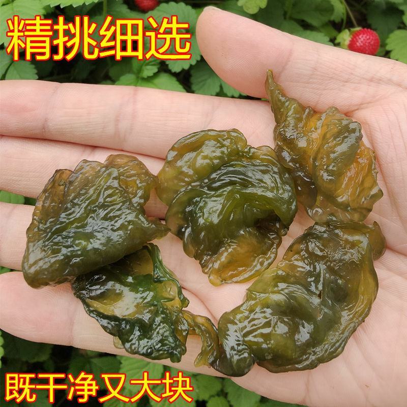 野生地皮菜甘肃陇西农户自采产地直发纯野生地皮菜