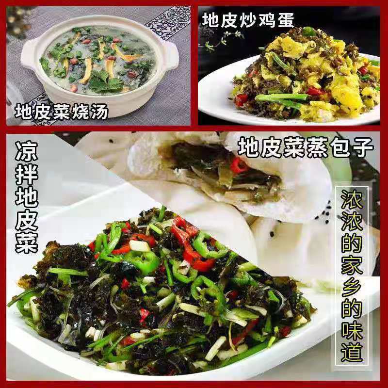 野生地皮菜甘肃陇西农户自采产地直发纯野生地皮菜