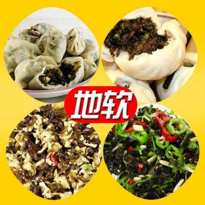野生地皮菜甘肃陇西农户自采产地直发纯野生地皮菜