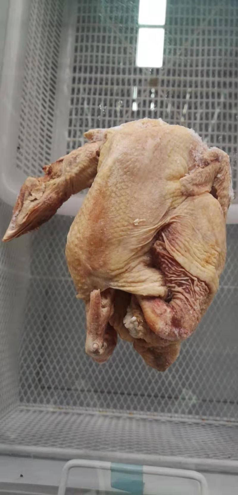 低价出售半片鸭，白条鸡